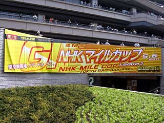 NHKマイルカップ