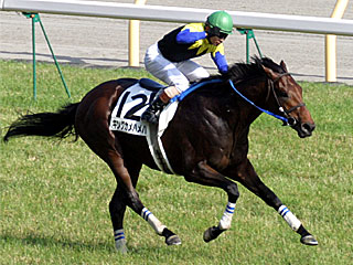 キングカメハメハ(日本ダービー)