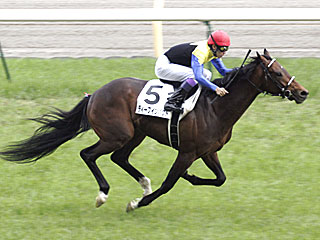 ディープインパクト(日本ダービー)