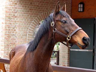 レガシーワールド