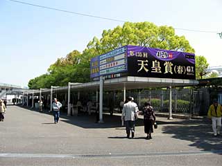 京都競馬場