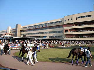 船橋競馬場