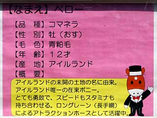 ペロー(コマネラ)