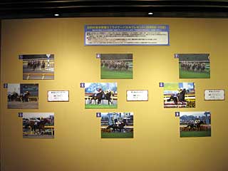 2006度東京開催ＧⅠウイナーパネル展