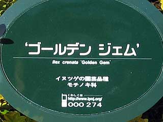 ゴールデンジェム