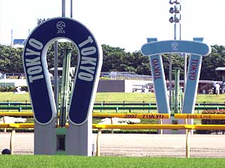 東京競馬場（通常）