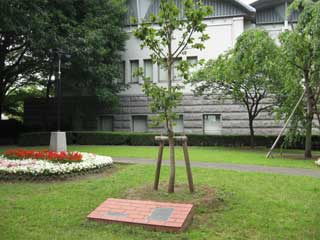 エプソム遊歩道