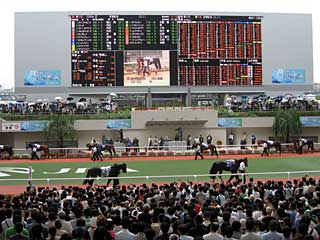 阪神競馬場