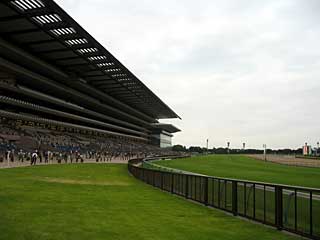 東京競馬場