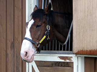 ダイナガリバー