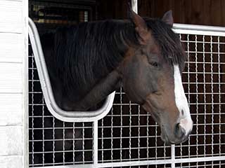 バランスオブゲーム