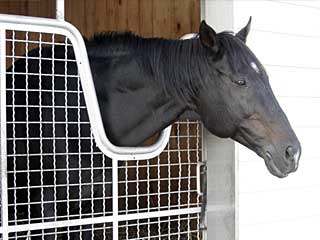 ブライアンズタイム