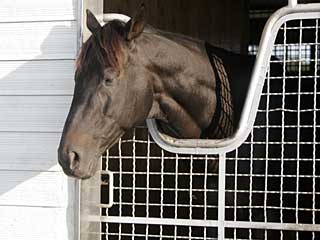 ロイヤルタッチ