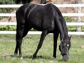 シックスセンス