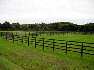 日高軽種馬農協門別種馬場