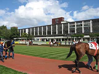 札幌競馬場