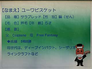 ユーワビスケット