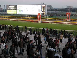 東京競馬場