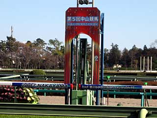 2007年第5回中山競馬