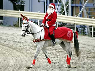 コスプレ誘導馬