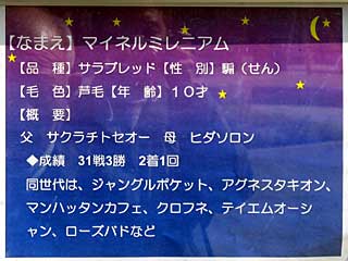 マイネルミレニアム