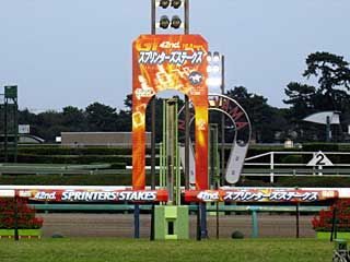 中山競馬場（2008年スプリンターズステークス）