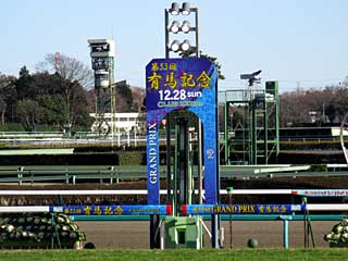 中山競馬場（2008年有馬記念）