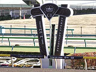 ゴール板(フェブラリーステークス)