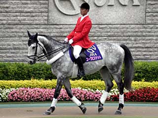 ユーワビスケット