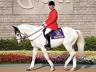 アルスブランカ