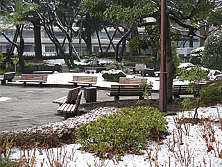 東京競馬場雪景色