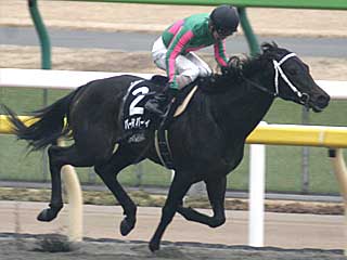 バーディバーディ(ヒヤシンスステークス)