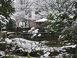 東京競馬場雪景色