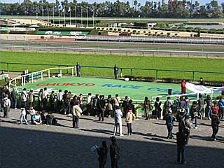 中京競馬場