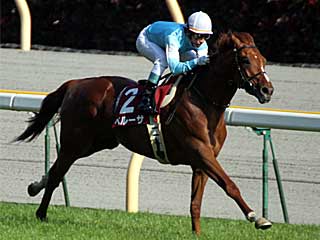 ペルーサ(青葉賞)