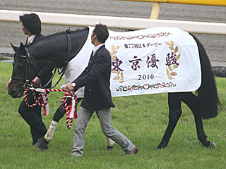 エイシンフラッシュ（日本ダービー）