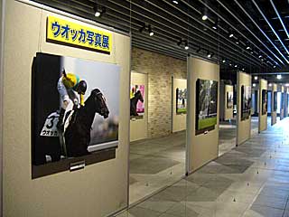 ウオッカ展