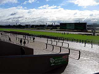 東京競馬場