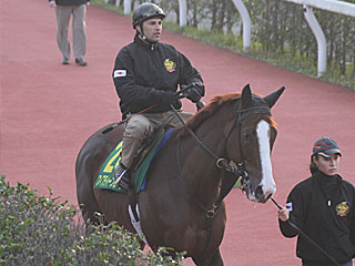 フィフティープルーフ(ジャパンカップ公開調教)