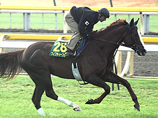 フィフティープルーフ(ジャパンカップ公開調教)