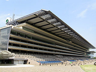 東京競馬場の歩き方 東京競馬場どっとこむ