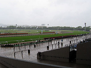 東京競馬場