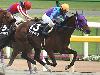 ブライトアイザック(アハルテケステークス)