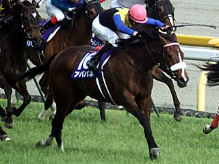 アパパネ(ヴィクトリアマイル)