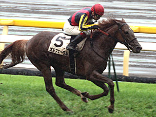 オルフェーヴル(日本ダービー)