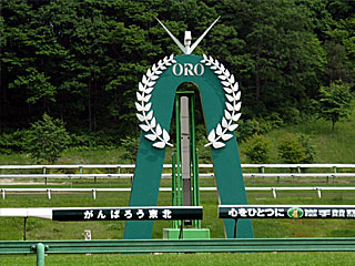 盛岡競馬場（芝コース）