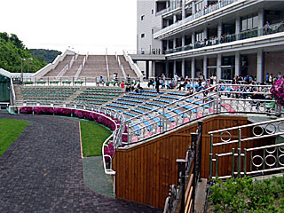 釜山慶南競馬場パドック