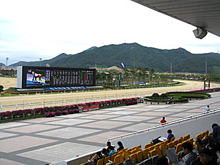 釜山慶南競馬場