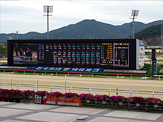 釜山慶南競馬場