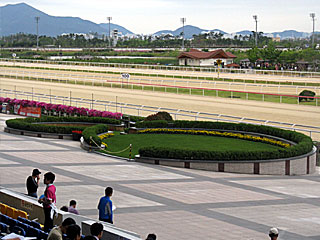 釜山慶南競馬場